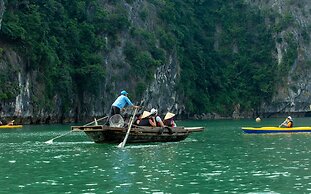 Dragon Bay Cruises