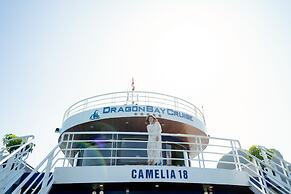 Dragon Bay Cruises