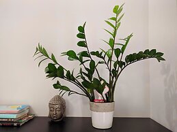 Basco Central Apartment Little Bay