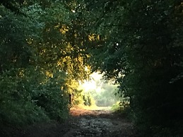 Domaine St Germer