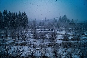 Alt Life Manali