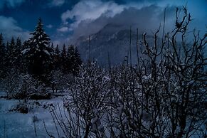 Alt Life Manali
