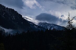 Alt Life Manali