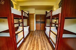Alt Life Manali