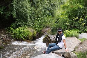 Alt Life Manali