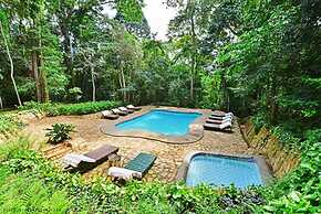 The Rainforest Geo Lodge