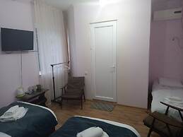 Hotel David