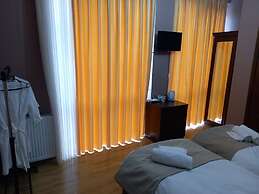 Hotel David