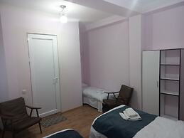 Hotel David