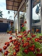 Hotel David
