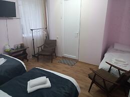 Hotel David