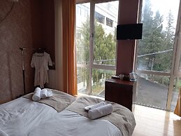 Hotel David