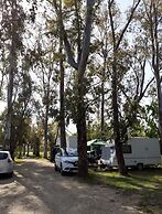 Camping la Naranja