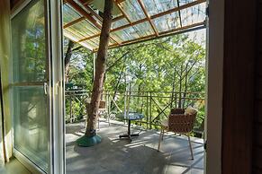 Kasauli Hills Resort