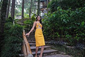 Kasauli Hills Resort