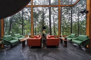 Kasauli Hills Resort