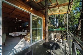 Kasauli Hills Resort