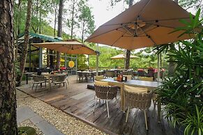Kasauli Hills Resort