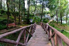Kasauli Hills Resort