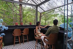 Kasauli Hills Resort