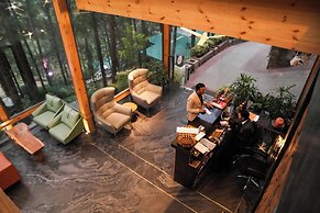 Kasauli Hills Resort