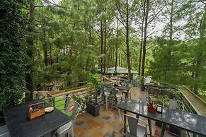 Kasauli Hills Resort