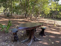 Finca Avellanas