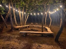 Finca Avellanas