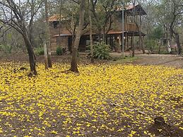Finca Avellanas