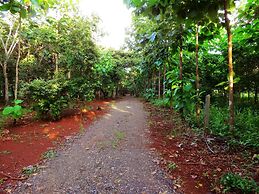 Finca Avellanas