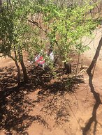 Finca Avellanas