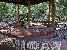 Finca Avellanas