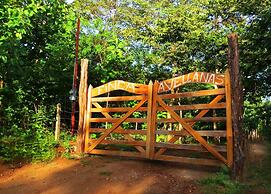 Finca Avellanas