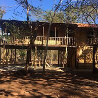 Finca Avellanas