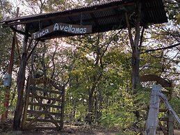 Finca Avellanas