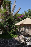 Cozy Casitas