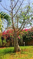 Holiday Homes Elicriso Malindi