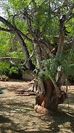 Holiday Homes Elicriso Malindi