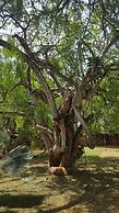 Holiday Homes Elicriso Malindi