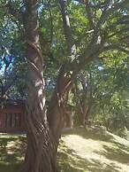 Nyangombe Backpackers