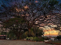 Finca Garullo