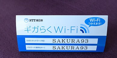 Sakura 93