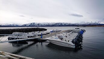 Arctic Seasport