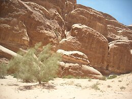 Bedouin expedition Camp
