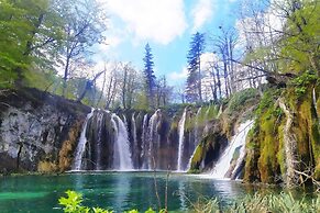 Plitvice Streaming