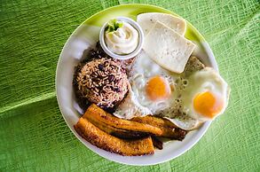 Hotel Tortuguero Beachfront