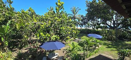 Hotel Tortuguero Beachfront