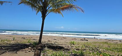 Hotel Tortuguero Beachfront