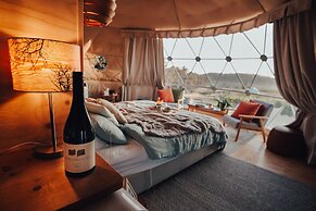 Domescapes in the Vines