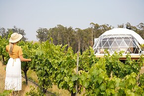 Domescapes in the Vines